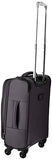 Skyway FL Air 24-Inch 4 Wheel Expandable Upright, Gray