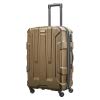 Samsonite Centric 24-Inch Hardside Spinner (Bronze)