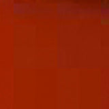 Samsonite Luggage Strap Juicy Orange