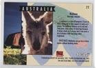 Wallaroo (Trading Card) 1993 CARDZ San Diego Zoo - [Base] #77