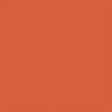 AmazonBasics Hardside Carry On Spinner Travel Luggage Suitcase - 21 Inch, Orange