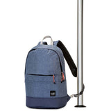 Pacsafe Slingsafe LX300 Anti-Theft Backpack