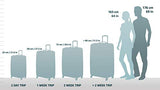 Elite Luggage Spinner Carry-On Luggage, Black