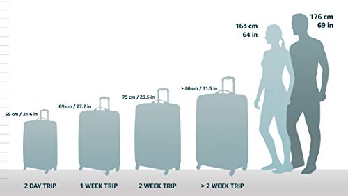 Biaggi Zipsak Micro Fold Spinner Carry-On Suitcase - 22-Inch Luggage - As Seen as Shark Tank -