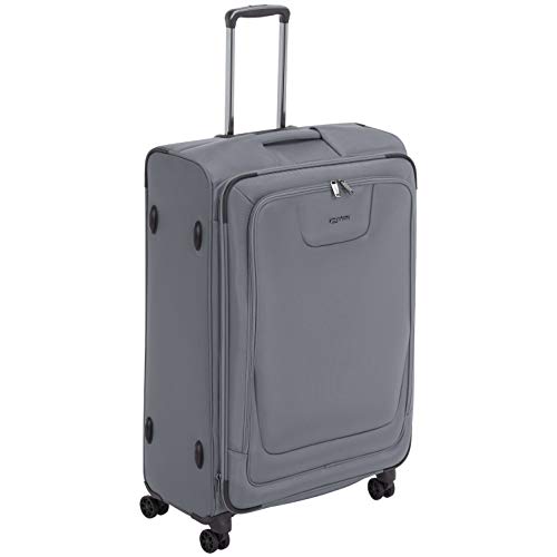 AmazonBasics Expandable Softside Spinner Luggage Suitcase With TSA Lock And Wheels - 29 Inch, Grey