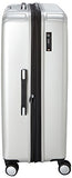 Delsey Luggage Helium Titanium Carry On And 29" Spin Lug, Silver