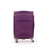 Cloe Checked Medium 24 inch Water-Resistant Luggage with 360º-spinner wheels in Purple Color