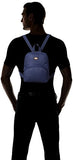 Dickies Dickies Mini Festival Bag Casual Daypack