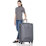 AmazonBasics Expandable Softside Spinner Luggage Suitcase With TSA Lock And Wheels - 29 Inch, Grey
