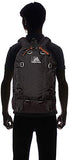 Gregory AllDay Black Backpack Daypack