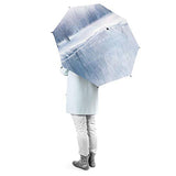 Compact Folding Travel Umbrella Windproof Waterproof,Winter,Auto Open Close Umbrella 42 Inch,Icy