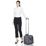 AmazonBasics Underseat Luggage, Grey Quilted