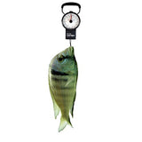 Miami CarryOn Mechanical Hanging Luggage Scale with a Built-in Tape Measure