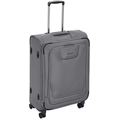 Amazonbasics Premium Expandable Softside Spinner Luggage With Tsa Lock- 25 Inch, Grey
