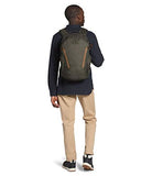 The North Face Vault Backpack, New Taupe Green/Utility Brown, One Size