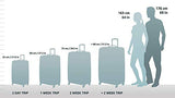 Hartmann Century Carry On Expandable Spinner Carry-On Luggage, Bronze Monogram/Espresso
