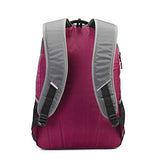 Samsonite Candlepin 2 Backpack Berry