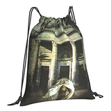 SLDFJLATEE Por-cupine TRE-e Drawstring Backpack/Outdoor Portable Backpack Sports and Fitness Backpack