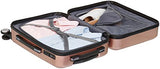 AmazonBasics Metallic Spinner- 20 inch, Rose Gold
