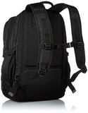 Victorinox Luggage Altmont 3.0 Dual-Compartment Laptop Backpack, Black, One Size