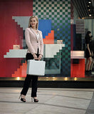 ALEON 15" Business Attache Aluminum Hardside Business Briefcase