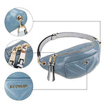 ECOSUSI Women Fanny Pack Waist Bag with Adjustable Strap for Working Traveling Casual Outdoor