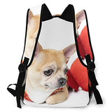 Multi leisure backpack,Pomeranian And Shihuahua Dog With Red Love On, travel sports School bag for adult youth College Students