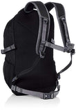 Pacsafe Venturesafe G3 25 Liter Anti Theft Travel Backpack / Daypack - Fits 17 inch Laptop, Black