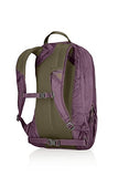 Gregory Mountain Products Sketch 22 Liter Daypack, Zin Purple, One Size