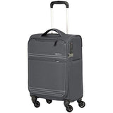 Amazonbasics Lightweight Softside Spinner - 22-Inch, Grey