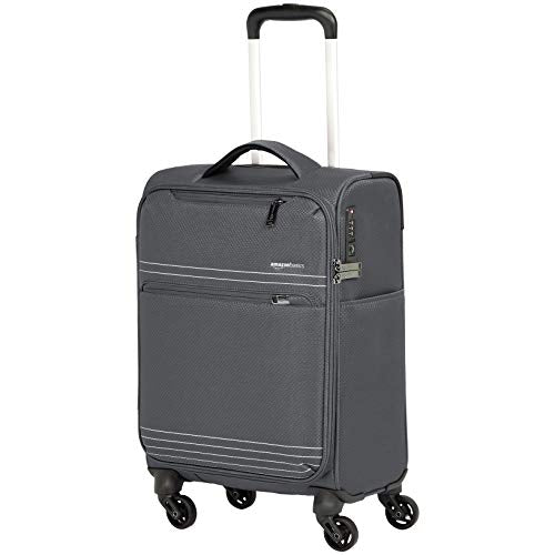 Amazonbasics Lightweight Softside Spinner - 22-Inch, Grey