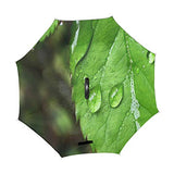 Reverse Umbrella Water Droplets On Green Leaves Windproof for Car