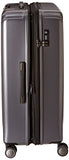 Delsey Luggage Helium Titanium 29 Inch Exp Spinner Trolley Metallic, Graphite, One Size