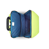 DELSEY Paris Securain Water-Resistant Laptop Backpack, Lemon, One Size