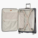 Ricardo Montecito 29" Soft Side Spinner Luggage Gray