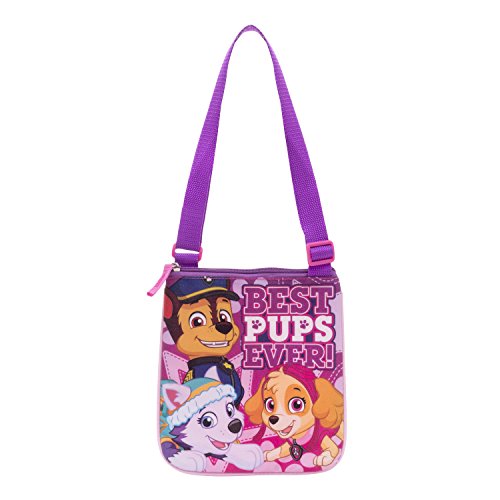 Paw Patrol Pup Pals Passport