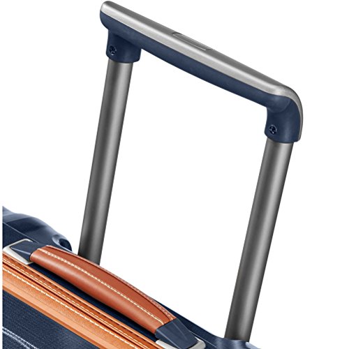 Samsonite Black Label Lite Cube Dlx 31" Hardside Spinner (One Size, Aluminium)