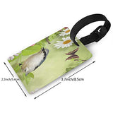 Luggage Tags Birds And Butterflies Amazing Suitcase Name Tag Holder Labels