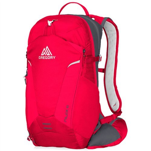 Shop Gregory Miwok 18 Daypack, Spark Red, One – Luggage Factory