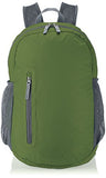 Amazonbasics Ultralight Packable Day Pack - Green, 35L