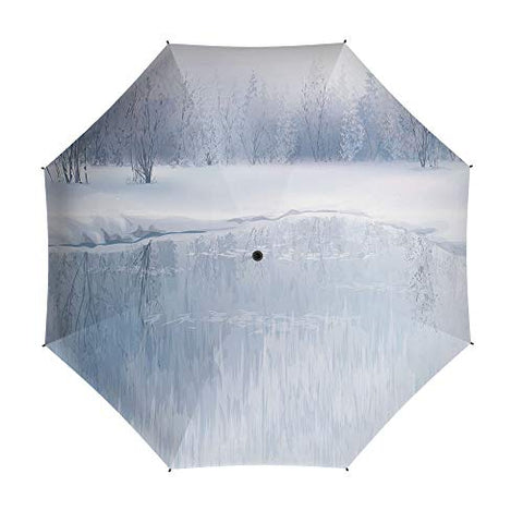 Compact Folding Travel Umbrella Windproof Waterproof,Winter,Auto Open Close Umbrella 42 Inch,Icy