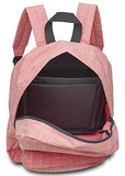 Kathari Alpha Antimicrobial Backpack (Rose Red), Travel Laptop Backpack, Padded Laptop And Tablet Sleeves School College Bag