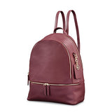Samsonite Ladies Leather City Backpack Sangria