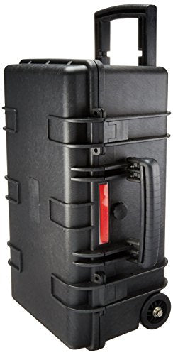 Shop Amazonbasics Hard Camera Case - Large – Luggage Factory