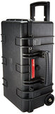 Amazonbasics Hard Camera Case - Large