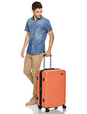 Amazonbasics Hardside Spinner Luggage -  24-Inch, Orange