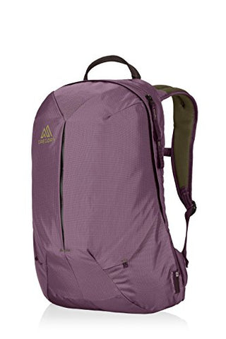 Gregory Mountain Products Sketch 22 Liter Daypack, Zin Purple, One Size