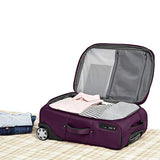 AmazonBasics Premium Upright Expandable Softside Suitcase with TSA Lock - 22 Inch, Purple