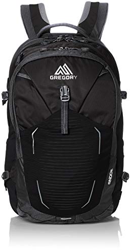 Gregory Mountain Products Anode Men's Daypack, Shadow Black, One Size