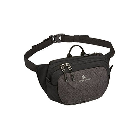 Eagle Creek Wayfinder Waist Pack Multiuse Fanny Pack for Travel Sport Waist Pack for E-reader & Phone Passport Wallet, Black/Charcoal